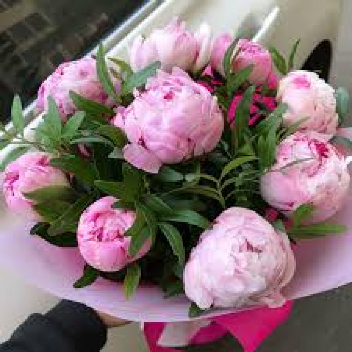 Пион древовидный в Шахтинске