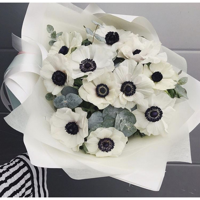 Анемоны в Шахтинске