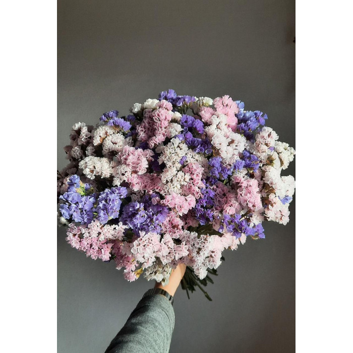 Статица (Лимониум) в Шахтинске