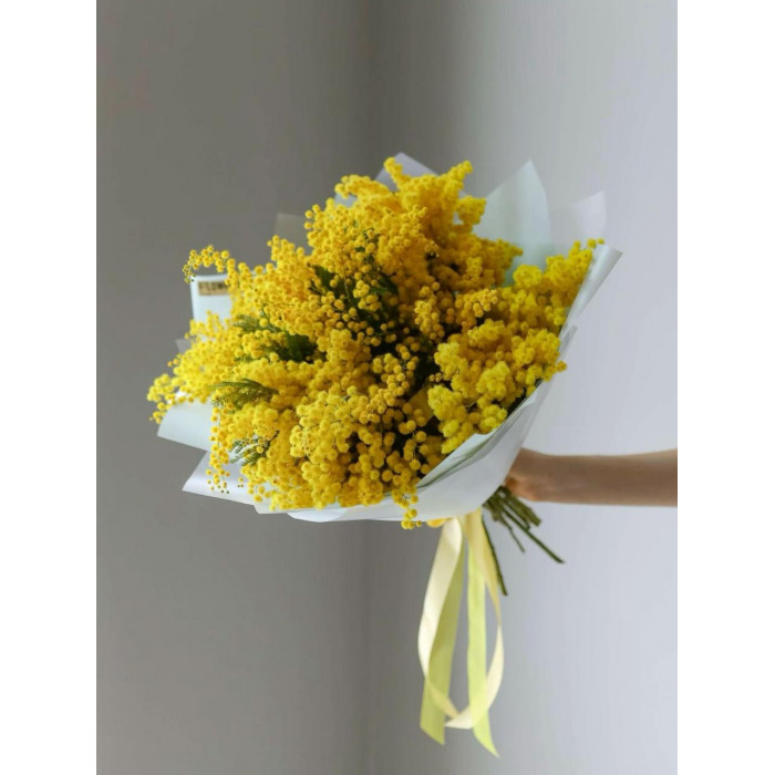 Мимоза в Шахтинске