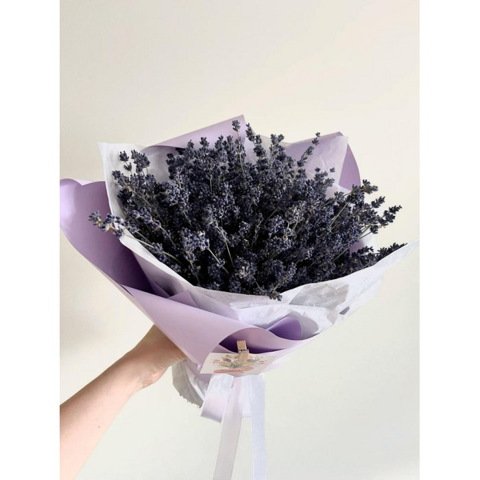 Лаванда в Шахтинске