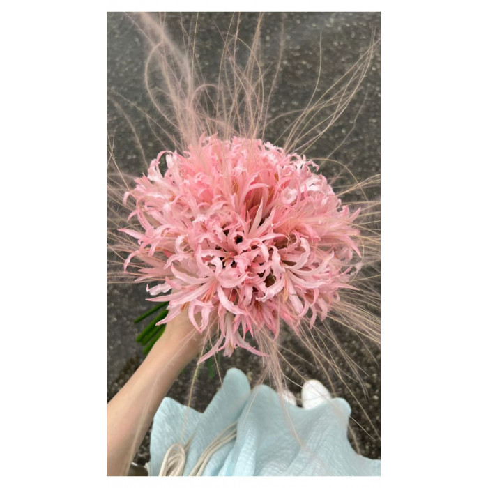 Нерине в Шахтинске