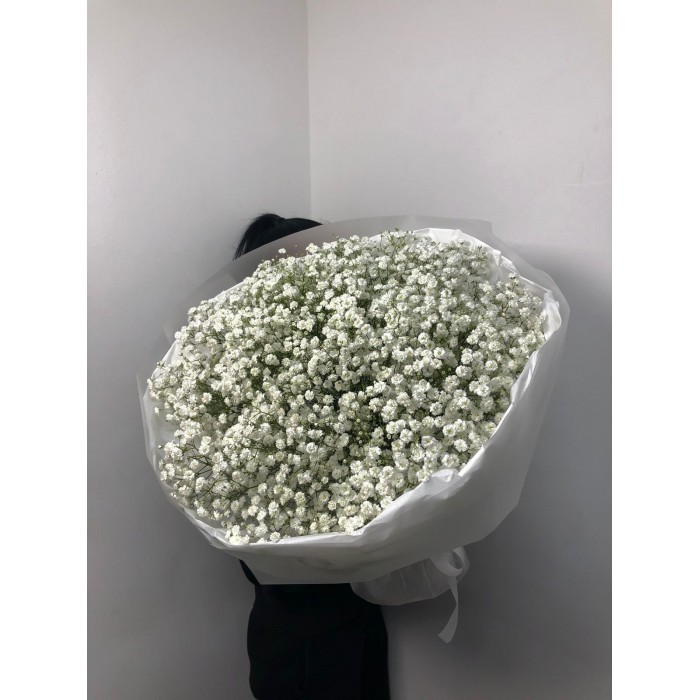 Гипсофила классическая в Шахтинске