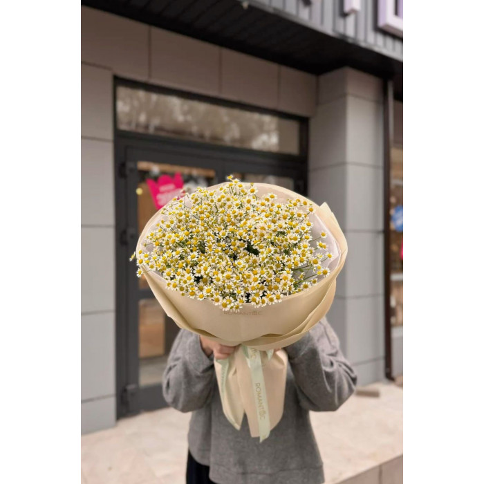 Танацетум в Шахтинске