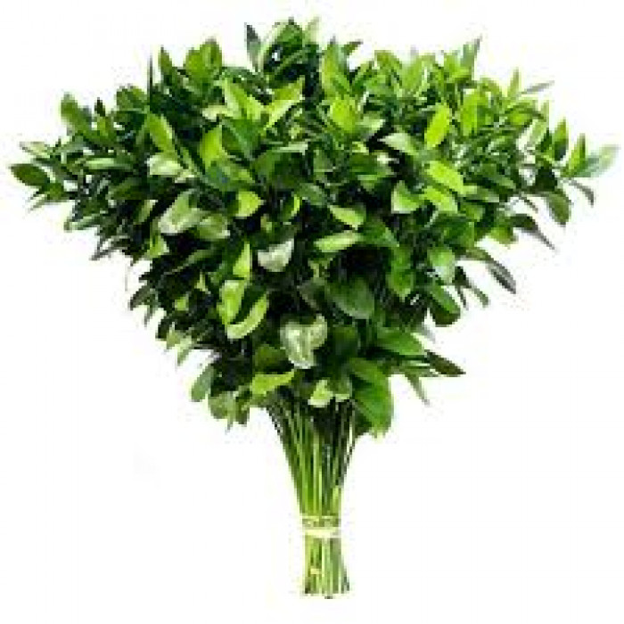 Рускус в Шахтинске